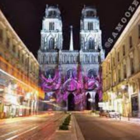 Chaleureux Appart, Proche De La Loire Avec Parking Orleans Ngoại thất bức ảnh