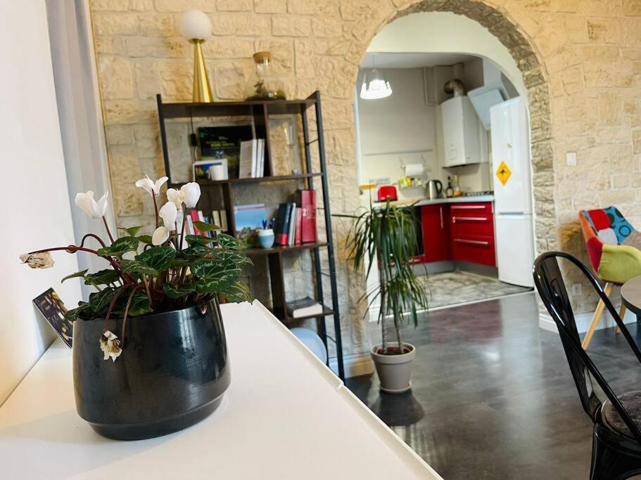 Chaleureux Appart, Proche De La Loire Avec Parking Orleans Ngoại thất bức ảnh