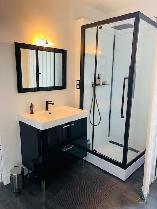 Chaleureux Appart, Proche De La Loire Avec Parking Orleans Ngoại thất bức ảnh