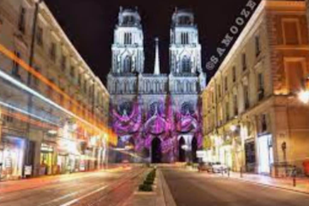 Chaleureux Appart, Proche De La Loire Avec Parking Orleans Ngoại thất bức ảnh